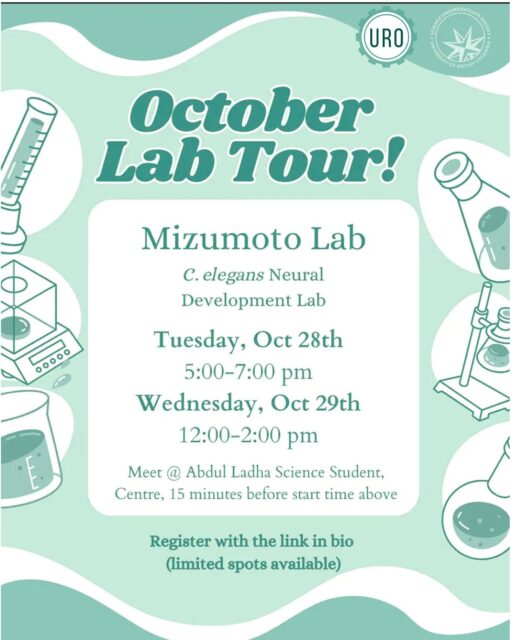 Our group lab tours are back!
Join us for an exclusive tour of the Mizumoto Lab, and get a behind-the-scenes look at cutting-edge research studying how neurons connect and communicate 🧠🔬
📅 Dates: Tuesday, Oct 28th (5–7 PM) and Wednesday, Oct 29th (12–2 PM)
📌 Meet at Abdul Ladha Science Student Centre (15 mins before the start time listed above!)RSVP now, link in bio!